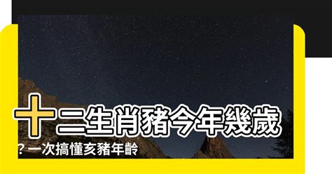 屬豬幾歲虛歲|屬豬今年幾歲 豬年是民國西元哪幾年